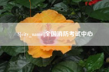 武义县全国消防考试中心