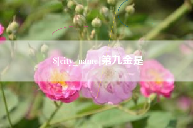 武义县第九金是