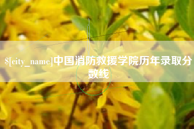 武义县中国消防救援学院历年录取分数线