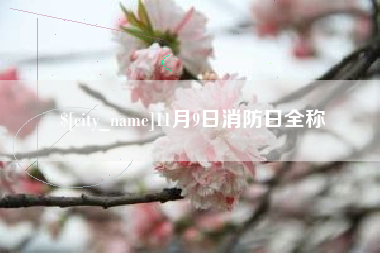 武义县11月9日消防日全称