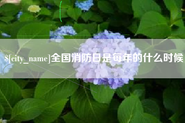武义县全国消防日是每年的什么时候