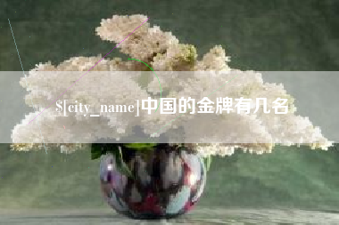 武义县中国的金牌有几名