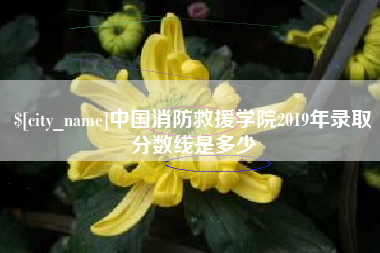 武义县中国消防救援学院2019年录取分数线是多少
