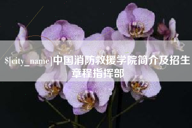 武义县中国消防救援学院简介及招生章程指挥部