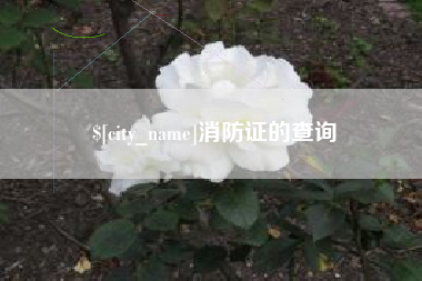 武义县消防证的查询