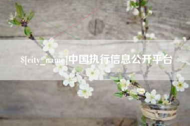 武义县中国执行信息公开平台