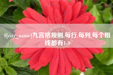 武义县九宫格规则,每行,每列,每个粗线都有1-9