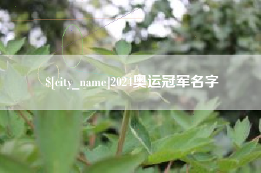武义县2024奥运冠军名字