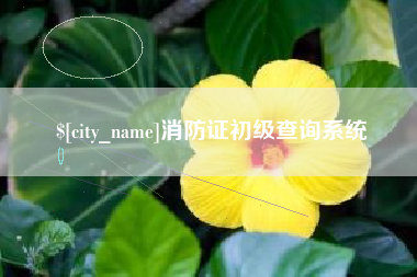 武义县消防证初级查询系统