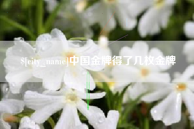 武义县中国金牌得了几枚金牌