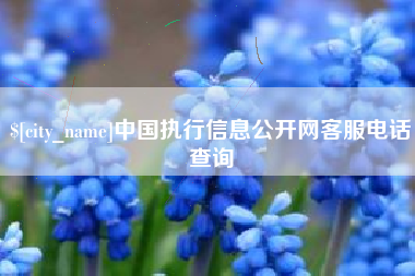 武义县中国执行信息公开网客服电话查询