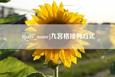 武义县九宫格排列方式