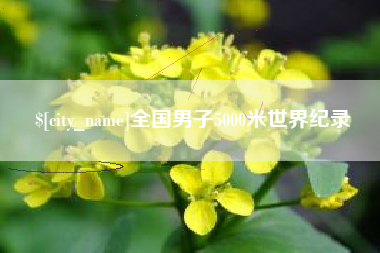 武义县全国男子5000米世界纪录
