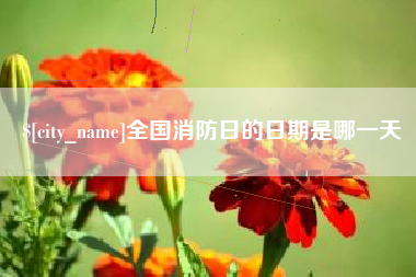 武义县全国消防日的日期是哪一天