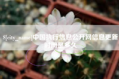 武义县中国执行信息公开网信息更新时间是多久