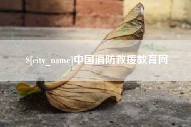 武义县中国消防救援教育网