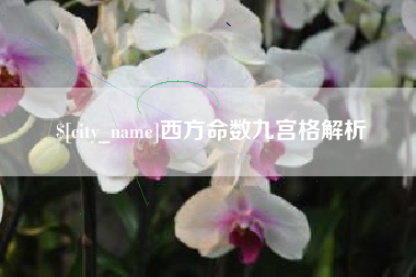 武义县西方命数九宫格解析