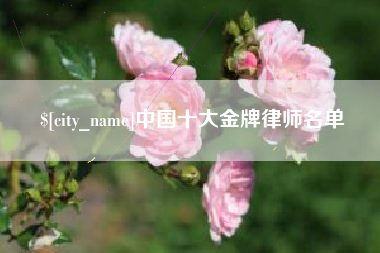 武义县中国十大金牌律师名单