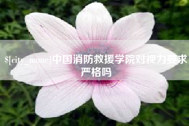 武义县中国消防救援学院对视力要求严格吗