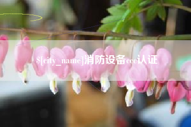 武义县消防设备ccc认证