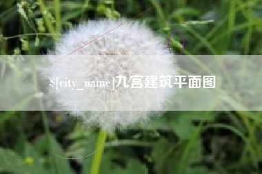 武义县九宫建筑平面图