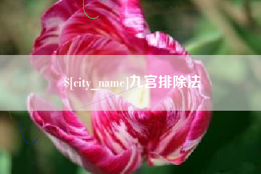武义县九宫排除法