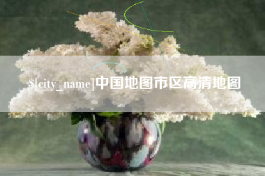 武义县中国地图市区高清地图