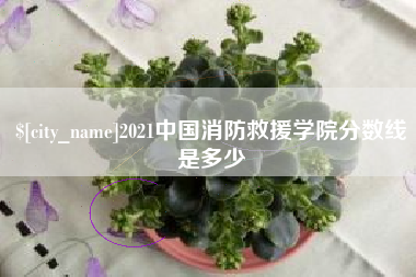 武义县2021中国消防救援学院分数线是多少