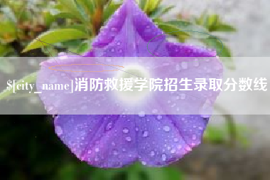 武义县消防救援学院招生录取分数线