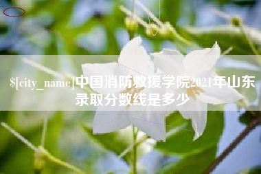 武义县中国消防救援学院2021年山东录取分数线是多少