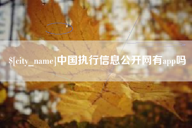 武义县中国执行信息公开网有app吗