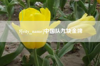 武义县中国队九块金牌