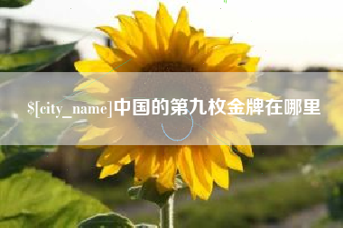 武义县中国的第九枚金牌在哪里