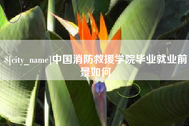 武义县中国消防救援学院毕业就业前景如何