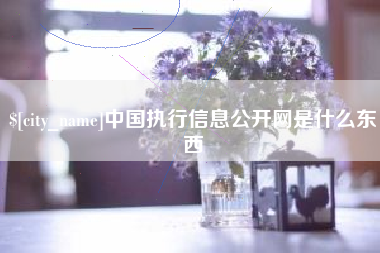 武义县中国执行信息公开网是什么东西