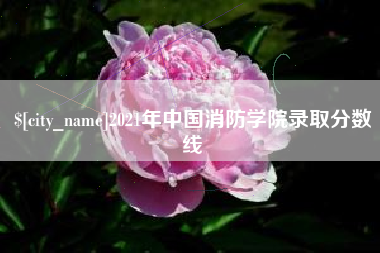 武义县2021年中国消防学院录取分数线
