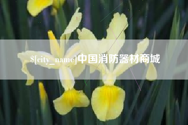 武义县中国消防器材商城