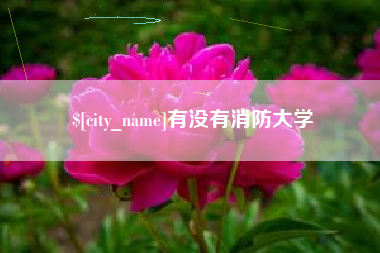 武义县有没有消防大学