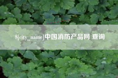 武义县中国消防产品网 查询