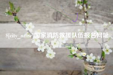 武义县国家消防救援队伍报名网址