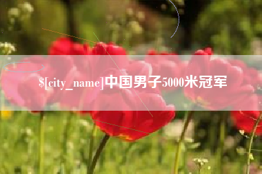 武义县中国男子5000米冠军