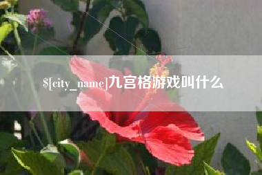 武义县九宫格游戏叫什么