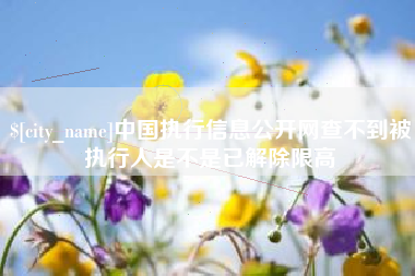 武义县中国执行信息公开网查不到被执行人是不是已解除限高