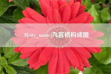 武义县九宫格构成图