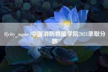 武义县中国消防救援学院2021录取分数