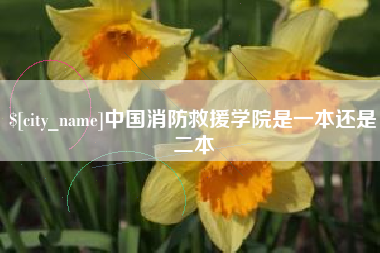 武义县中国消防救援学院是一本还是二本