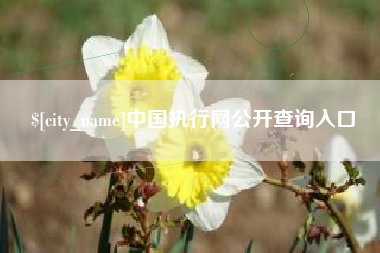 武义县中国执行网公开查询入口