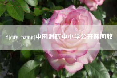 武义县中国消防中小学公开课回放