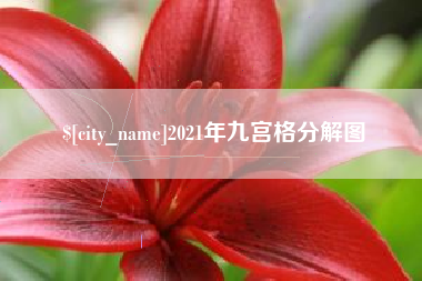 武义县2021年九宫格分解图