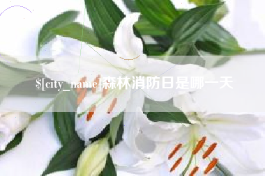 武义县森林消防日是哪一天